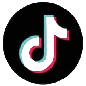 TikTok Logo
